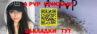 прущие крисы Кингисепп